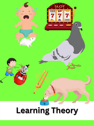 Learning
