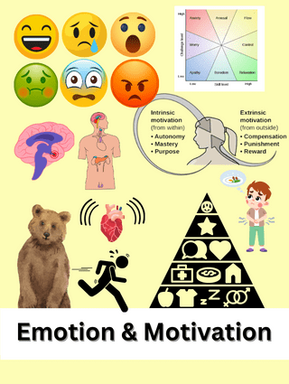 Emotion and Motivation