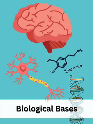 Biological Bases of Behavior